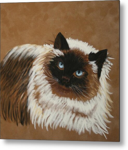 Cats Metal Print featuring the pastel Himalayan by Michele Turney