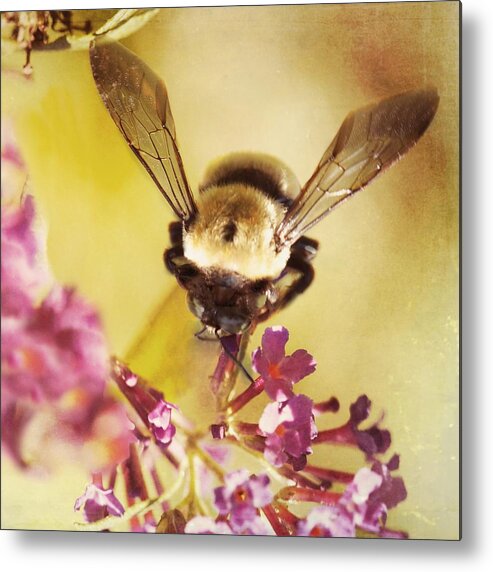 Bee Metal Print featuring the photograph Honey Bee by Kim Fearheiley
