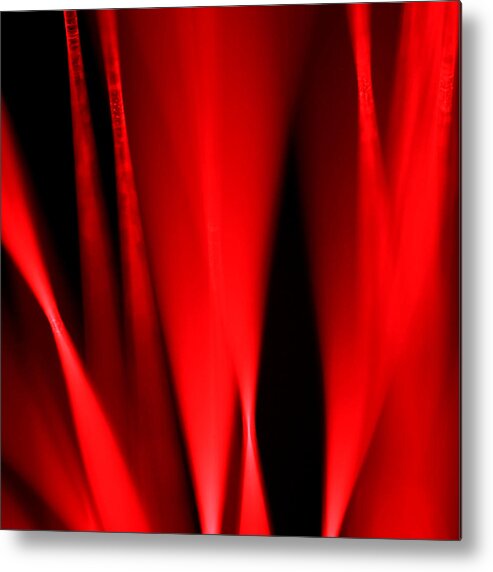 Triptych Metal Print featuring the photograph Hot Blooded Series Part 1 by Dazzle Zazz