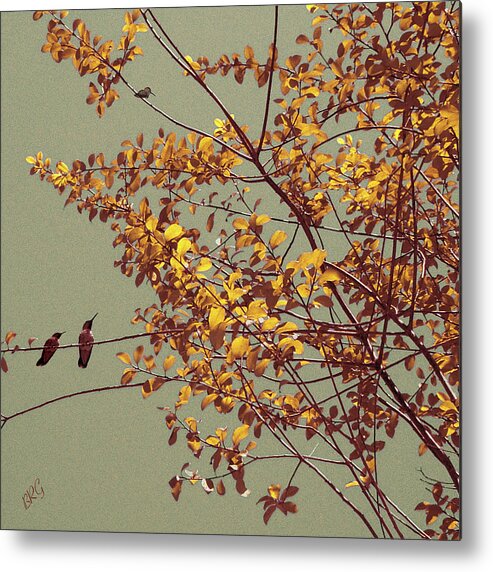 Humming Bird Metal Print featuring the photograph Hummingbirds On Yellow Tree by Ben and Raisa Gertsberg