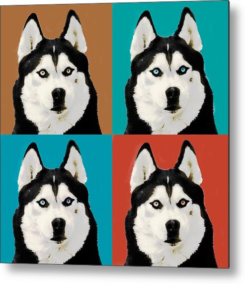 Husky Metal Print featuring the photograph Husky Pop Art by Susan Stone