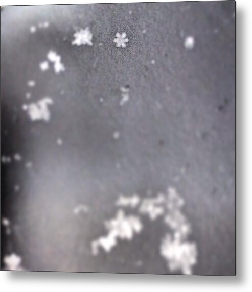 Beautiful Metal Print featuring the photograph I Spy A Perfect Little Snowflake by Caitlin Salvitti