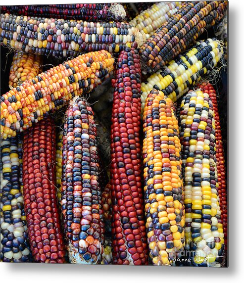 Corn Metal Print featuring the photograph Indian Corn by Joanne West