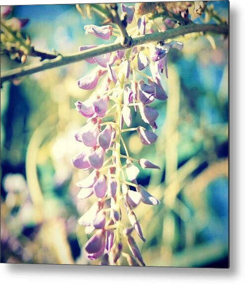 Beautiful Metal Print featuring the photograph #instaitalia #instagramers #instahub by AM FineArtPrints