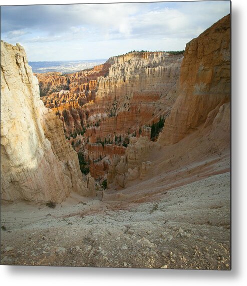 Bryce Canyon Metal Print featuring the photograph Into the Vortex by Laura Tucker