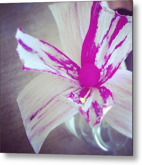  Metal Print featuring the photograph Iris by Meredith Leah