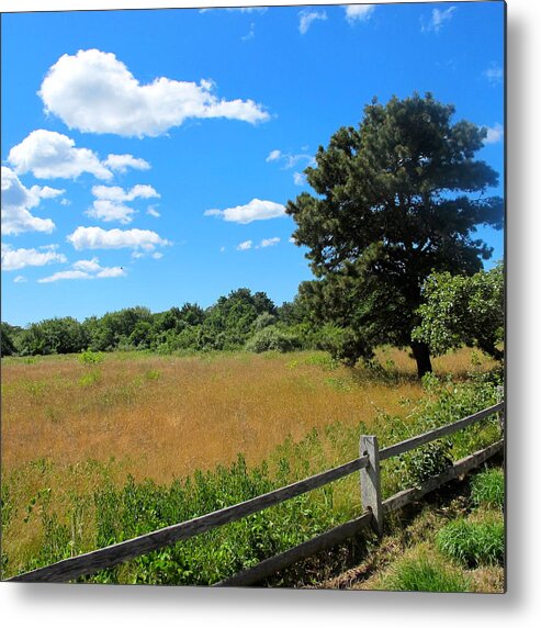 Open Field Prints Metal Print featuring the photograph Island Field by Sue Morris