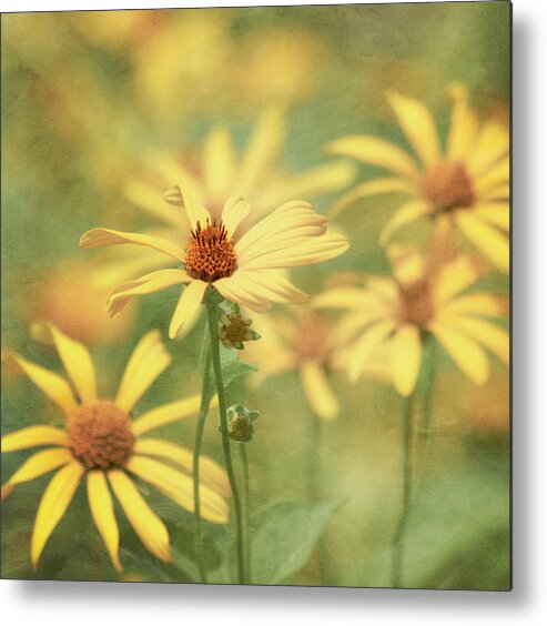 Yellow Flower Metal Print featuring the photograph It Must Be by Kim Hojnacki