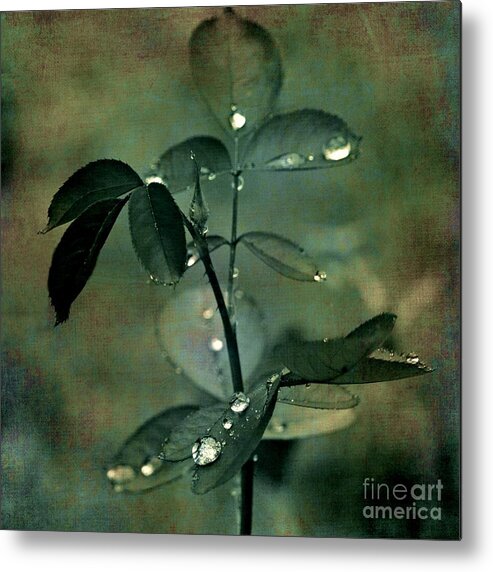 Leaf Metal Print featuring the photograph Jeweled Droplets by Patricia Strand