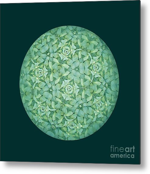 Kaleidoscope Metal Print featuring the photograph Kaleidoscopic Green by Ann Horn