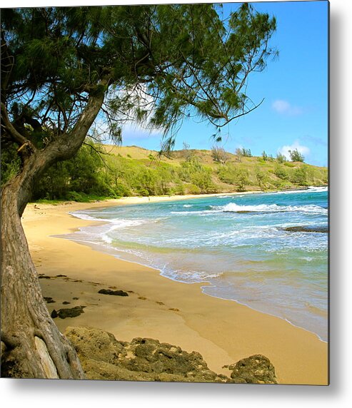 Tree Metal Print featuring the photograph Kauai Beach by Sue Morris