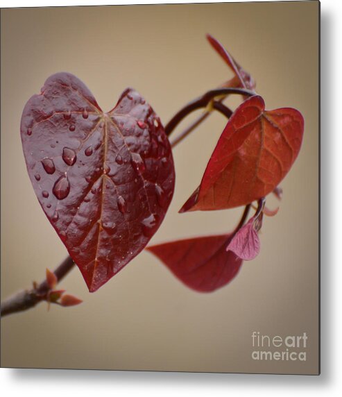Heart Metal Print featuring the photograph Kindness Can Change The World by Kerri Farley