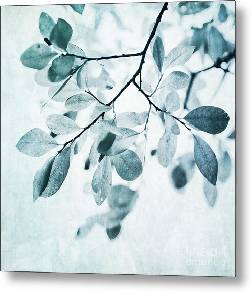 Foliage Metal Print featuring the photograph Leaves In Dusty Blue by Priska Wettstein