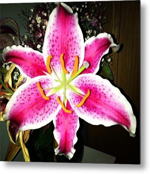 Pink Metal Print featuring the photograph #lily #closeup #pretty #flower by Amber Campanaro