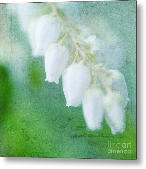 Lily Of The Valley Metal Print featuring the photograph Lily of the Valley by Kim Fearheiley