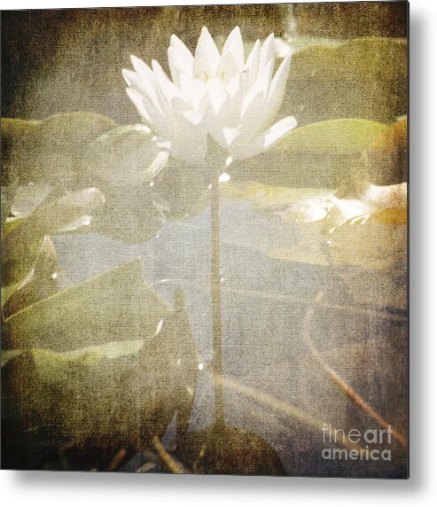 Lily Metal Print featuring the photograph Lily Reflections by Sharon Elliott