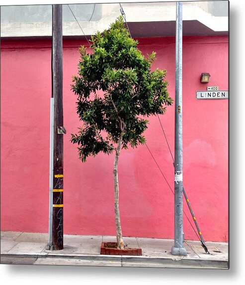 Pink Wall Metal Print featuring the photograph Linden Street by Julie Gebhardt