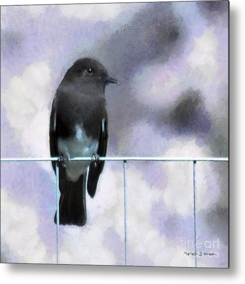 Azz Metal Print featuring the digital art Little Black Phoebe by Rhonda Strickland