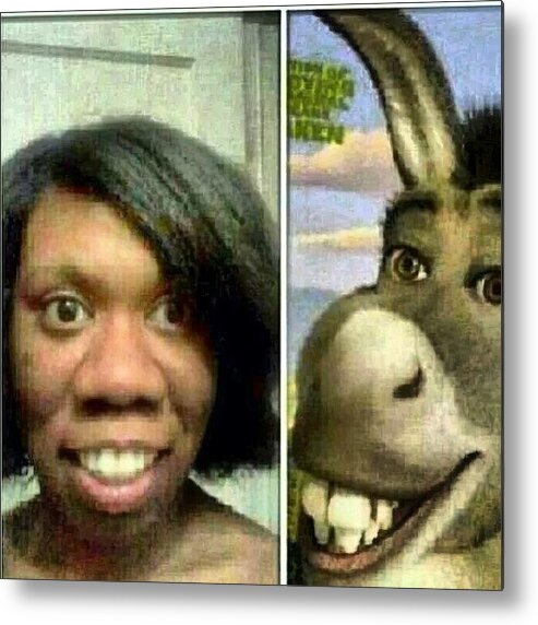 Lmao Lookalikes Donkey Shrek Lmao Metal Print By Brandon Fisher