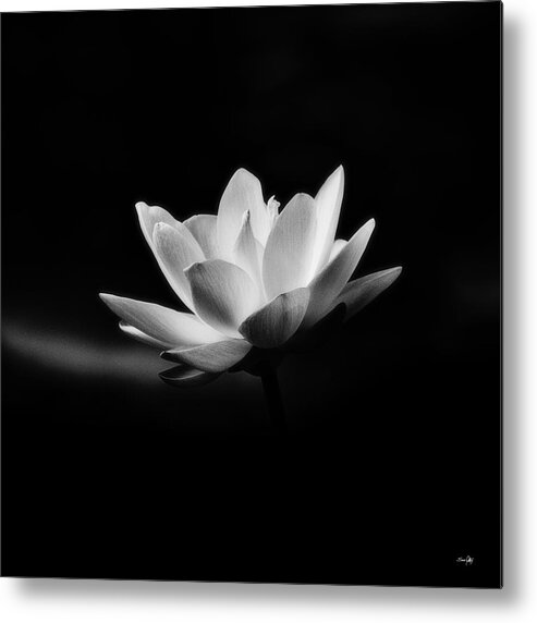 Black&white Metal Print featuring the photograph Lotus - square by Scott Pellegrin