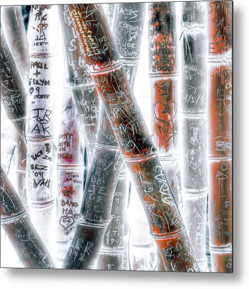 Bamboo Metal Print featuring the photograph Love Sticks by Wayne Sherriff