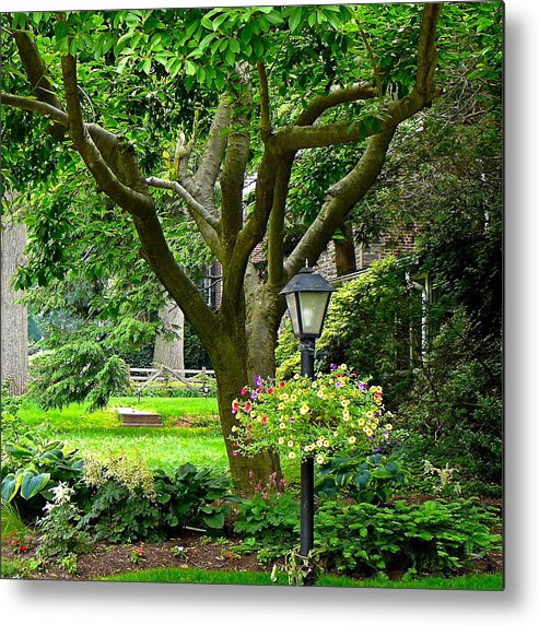 Front Yard With Magnolia Tree Metal Print featuring the photograph Lovely Suburban Front Yard by Byron Varvarigos