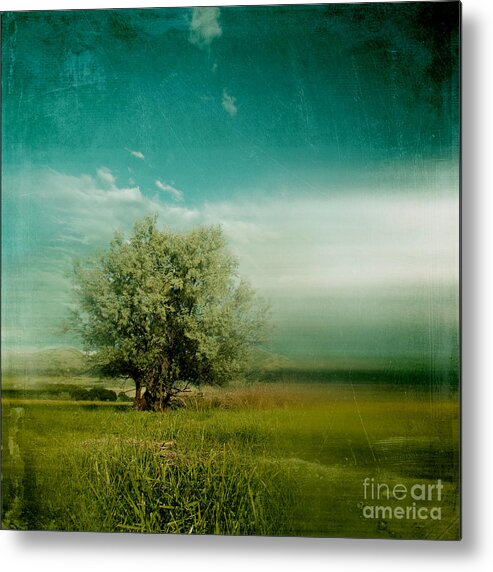 Tree Metal Print featuring the photograph Lyrical Tree - 0109bt01d by Variance Collections
