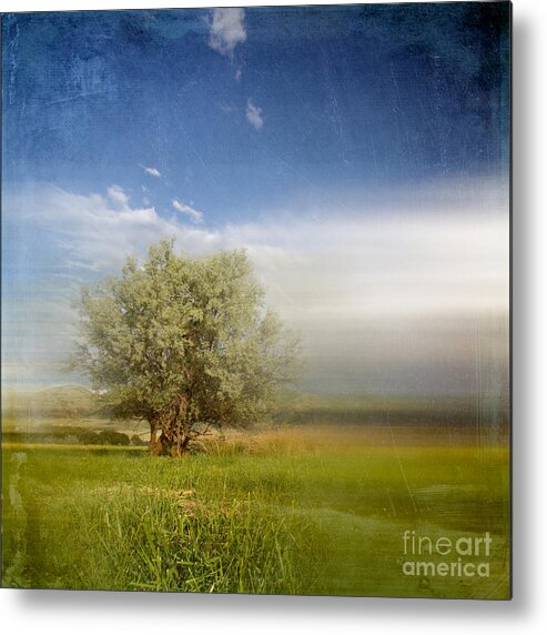 Tree Metal Print featuring the photograph Lyrical Tree - 01bt01aa by Variance Collections