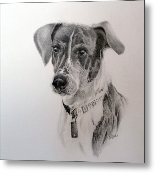 Dog Metal Print featuring the drawing Man's Best Friend by Lori Ippolito