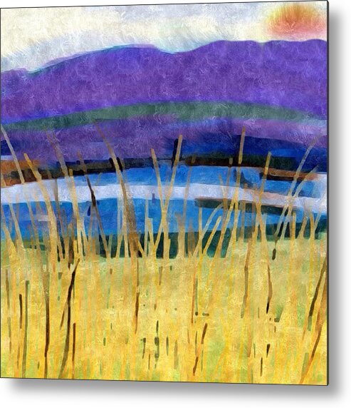 March Metal Print featuring the photograph March Sunset by Anne Thurston