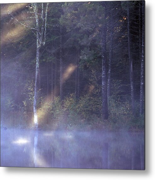 Nature Metal Print featuring the photograph Misty Moody Morning by Laura Tucker