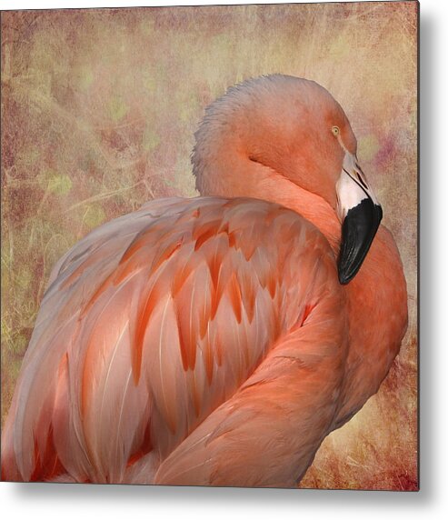 Flamingo Metal Print featuring the photograph More Than a Lawn Ornament by Kandy Hurley