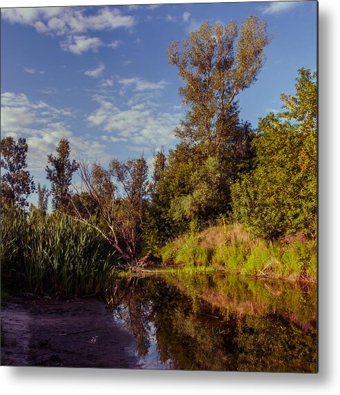Landscape Metal Print featuring the photograph Morning Creek by Dmytro Korol