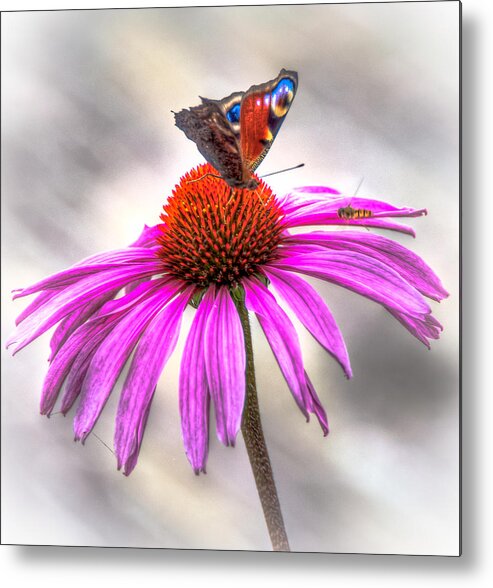 Butterfly Metal Print featuring the photograph My Flower by Alex Hiemstra