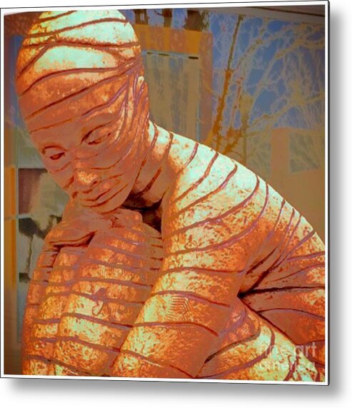 My Lady Metal Print featuring the photograph My Lady by Susan Garren