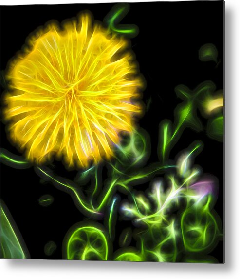 Flower Metal Print featuring the photograph Natural Electric beauty by Theodore Jones