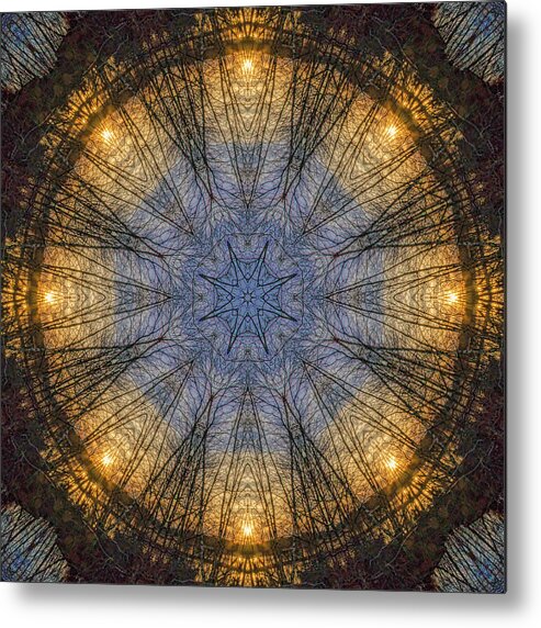 Mandala Metal Print featuring the photograph Nature's Skylight Mandala 1 by Beth Venner