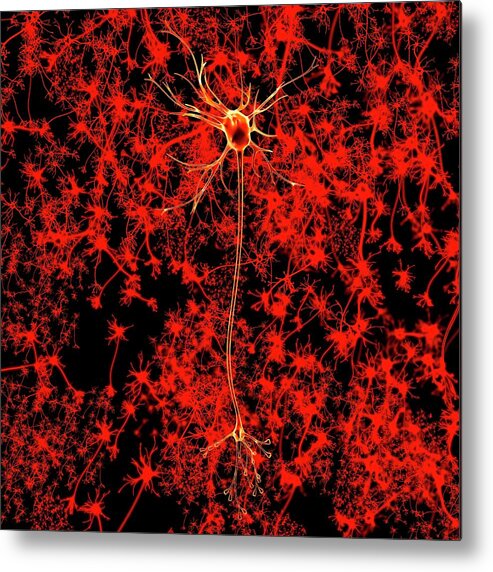 Artwork Metal Print featuring the photograph Neuron by Mehau Kulyk