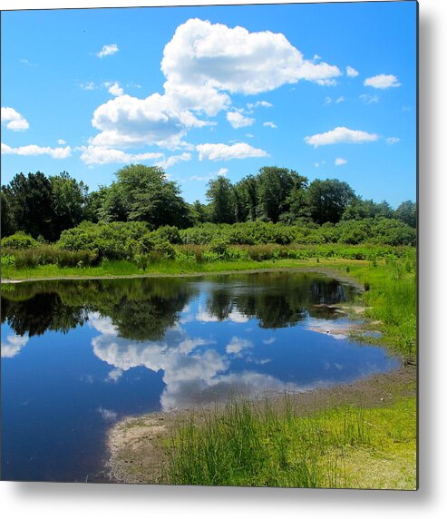 Martha's Vineyard Pond Photos Metal Print featuring the photograph New England Pond by Sue Morris