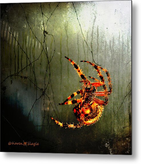 Spider Metal Print featuring the photograph Nightmares by Karen Slagle
