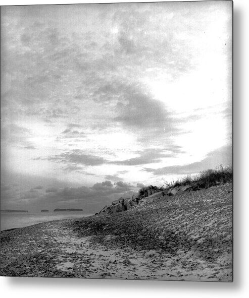 B&w Metal Print featuring the photograph November Dusk at Linwood's by Timothy Bischoff