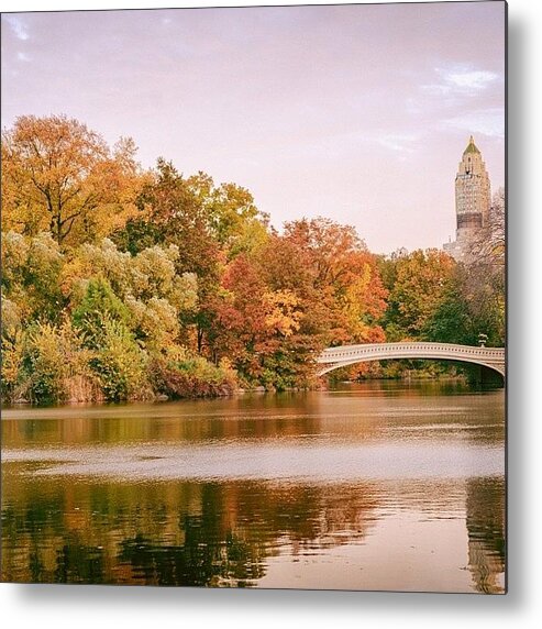  Metal Print featuring the photograph On Autumn Days When Grey Skies Brush by Vivienne Gucwa