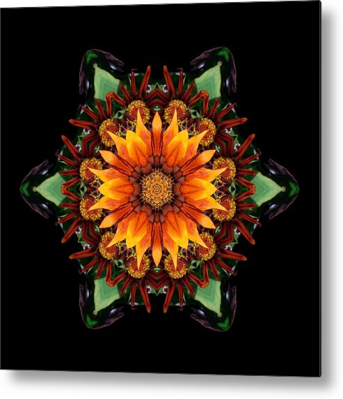 Flower Metal Print featuring the photograph Orange Gazania III Flower Mandala by David J Bookbinder