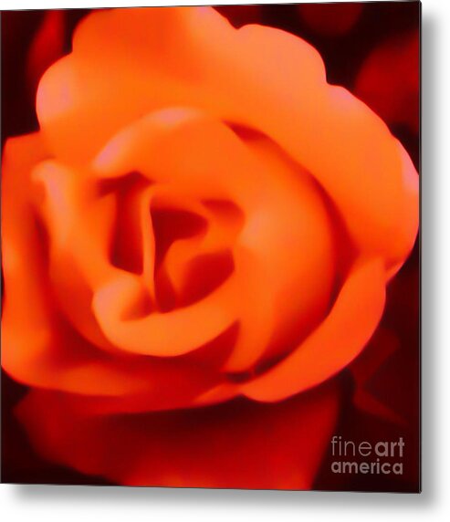 Orange Rose Metal Print featuring the photograph Orange Rose by Gayle Price Thomas