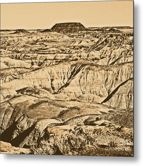 Painted Desert Metal Print featuring the photograph Painted Desert in Petrified Forest National Park Square Rustic by Shawn O'Brien