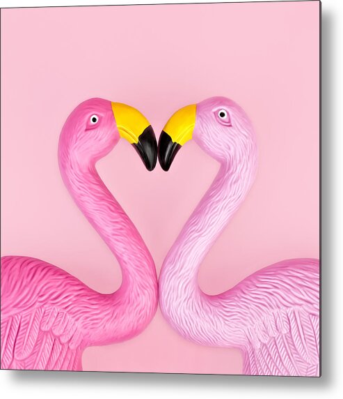 Plastic Metal Print featuring the photograph Pair Of Flamingos by Juj Winn