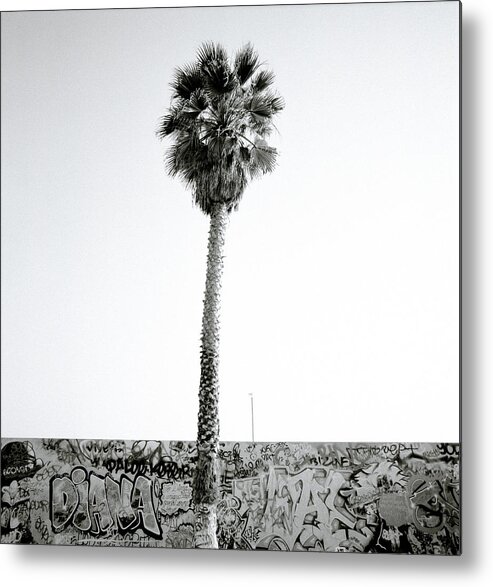 Graffiti Metal Print featuring the photograph Palm Tree And Graffiti by Shaun Higson