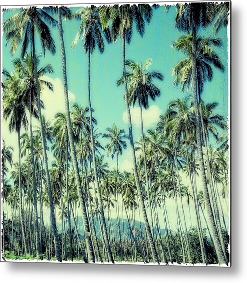 Hawaii Metal Print featuring the photograph Palm Trees by Susan Stone