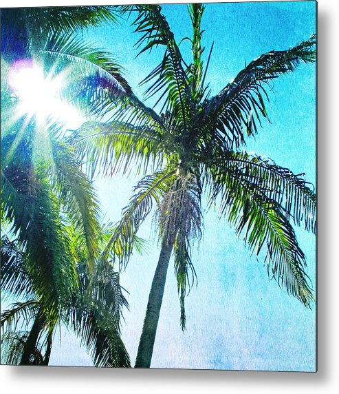 Palm Tree Metal Print featuring the photograph Palms by Beth Taylor