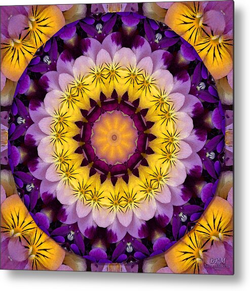 Kaleidoscope Metal Print featuring the photograph Pansy Celebration by Barbara R MacPhail